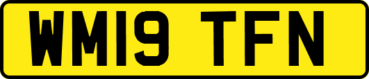 WM19TFN