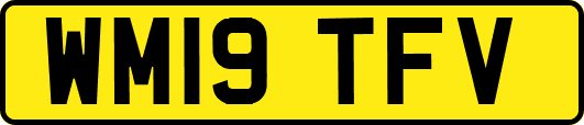 WM19TFV