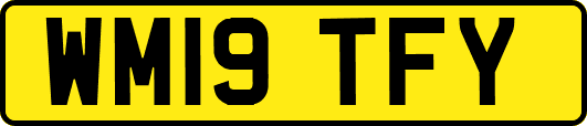 WM19TFY