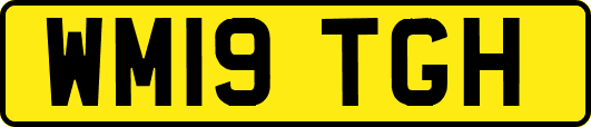 WM19TGH