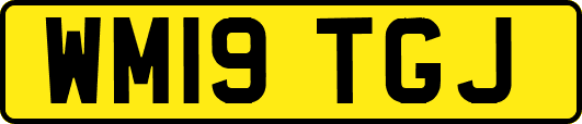 WM19TGJ