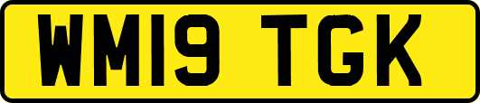 WM19TGK