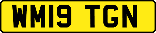 WM19TGN