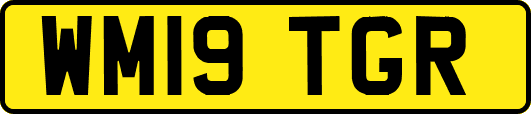 WM19TGR
