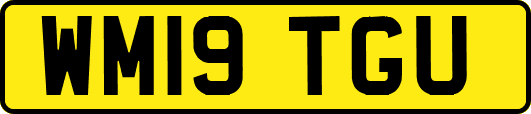 WM19TGU