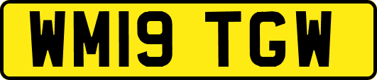 WM19TGW