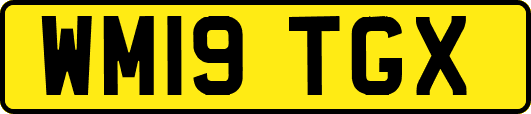 WM19TGX
