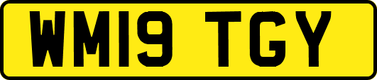 WM19TGY