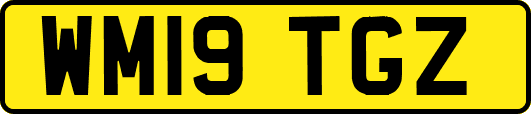 WM19TGZ