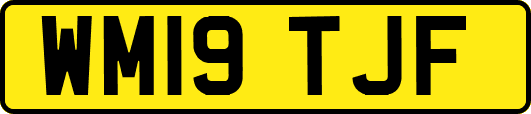 WM19TJF