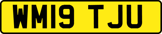 WM19TJU