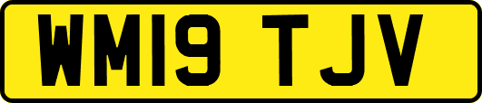 WM19TJV