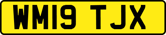 WM19TJX