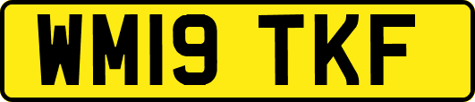 WM19TKF