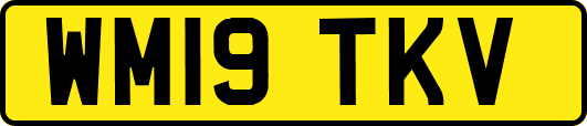 WM19TKV