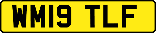 WM19TLF