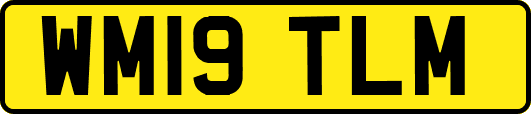 WM19TLM