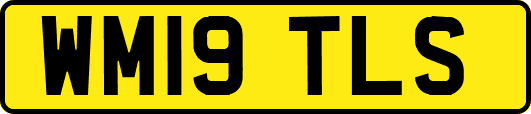 WM19TLS