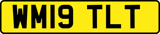 WM19TLT