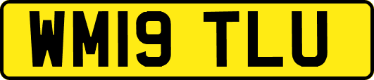 WM19TLU