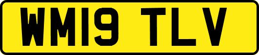 WM19TLV