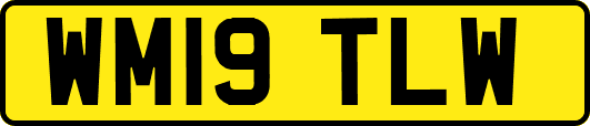 WM19TLW