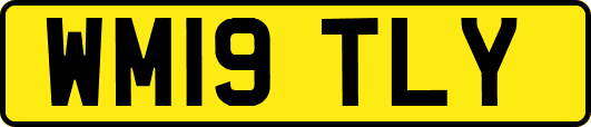 WM19TLY