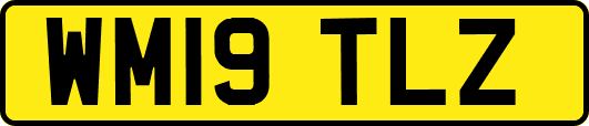 WM19TLZ