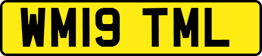 WM19TML
