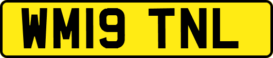 WM19TNL