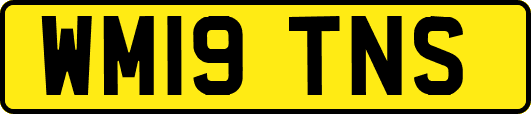 WM19TNS