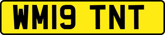 WM19TNT