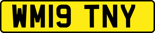 WM19TNY