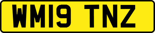 WM19TNZ