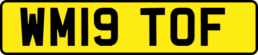 WM19TOF