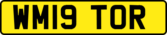 WM19TOR