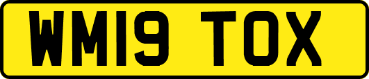 WM19TOX