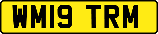 WM19TRM