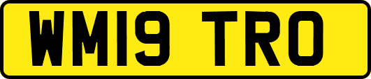 WM19TRO
