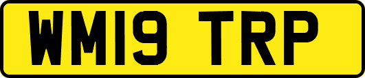 WM19TRP