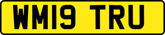 WM19TRU