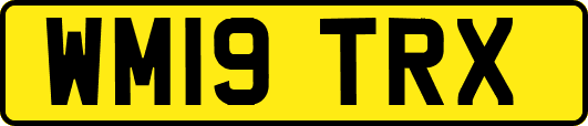 WM19TRX