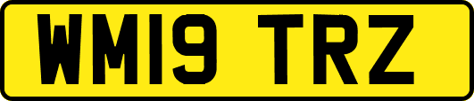 WM19TRZ