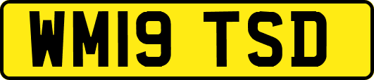 WM19TSD