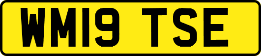 WM19TSE