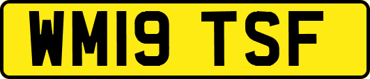 WM19TSF