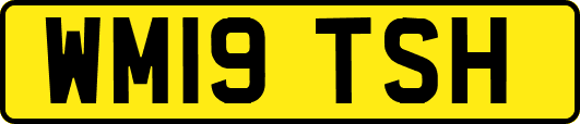 WM19TSH
