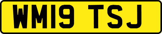 WM19TSJ