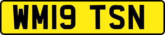 WM19TSN
