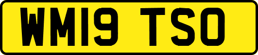 WM19TSO